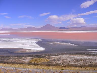 bolivia-lagoon-colorado.JPG