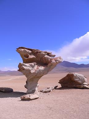 bolivia-salar-rock-tree.JPG