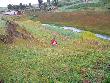 peru-cuzco-colin-dump.JPG