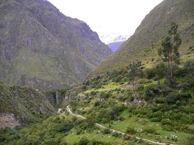 peru-inca-trail-day-1-misc-trail-shot.JPG