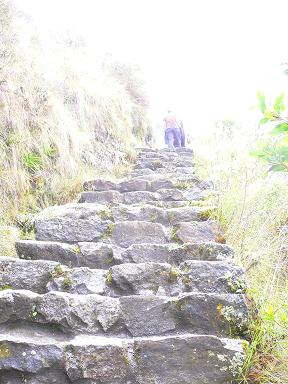 peru-inca-trail-day-2-steep-steps.JPG