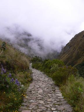 peru-inca-trail-day-2-stone-path.JPG