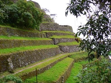 peru-inca-trail-day-3-ruins-1st-set.JPG