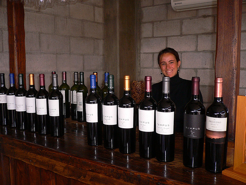 arg-mendoza-winery1.JPG