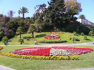 chile-vina-flowers.JPG