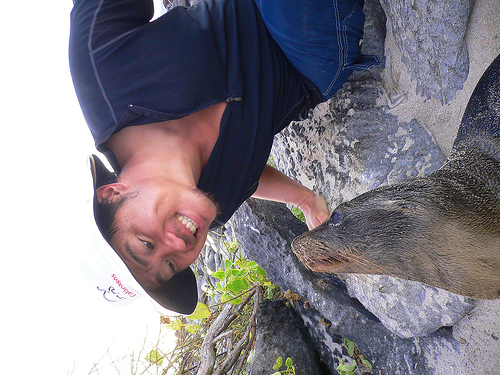 gal-sea-lion-baby.jpg